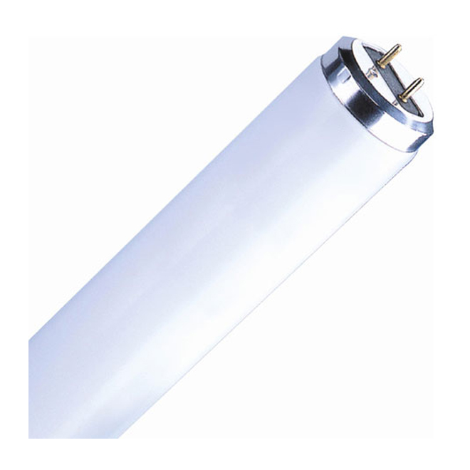 FLUORESCENT LINÉAIRE
