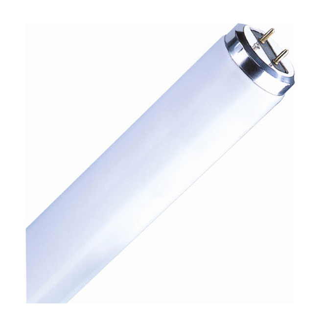 FLUORESCENT LINÉAIRE