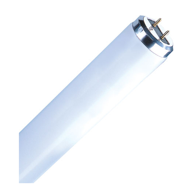 FLUORESCENT LINÉAIRE