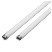 Ampoule fluorescente T8 32 W 48 po, paquet de 2