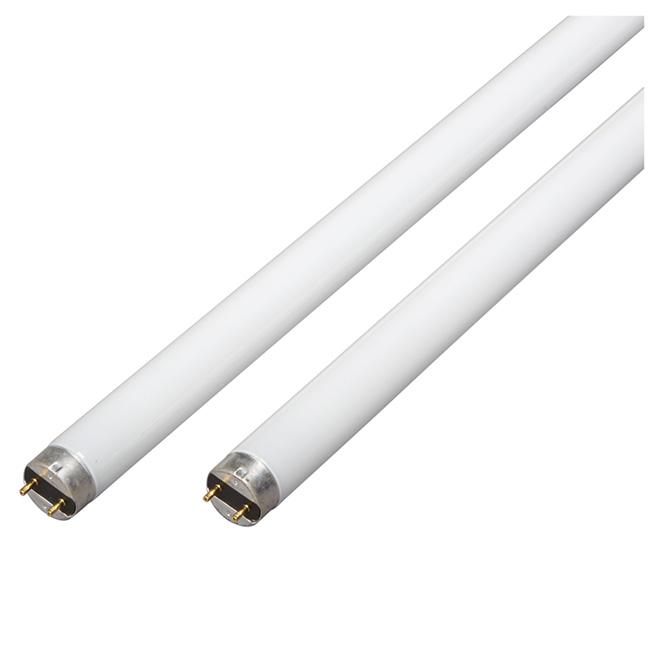 Tube fluorescent 48", 32 W, blanc froid, paquet de 2