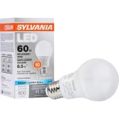Ampoule DEL de type A19, 8,5 W, culot moyen, lumière du jour
