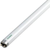Ampoule fluorescente 32 W, T8, 48