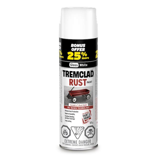 Anti-Rust Paint - Gloss White - 425 g