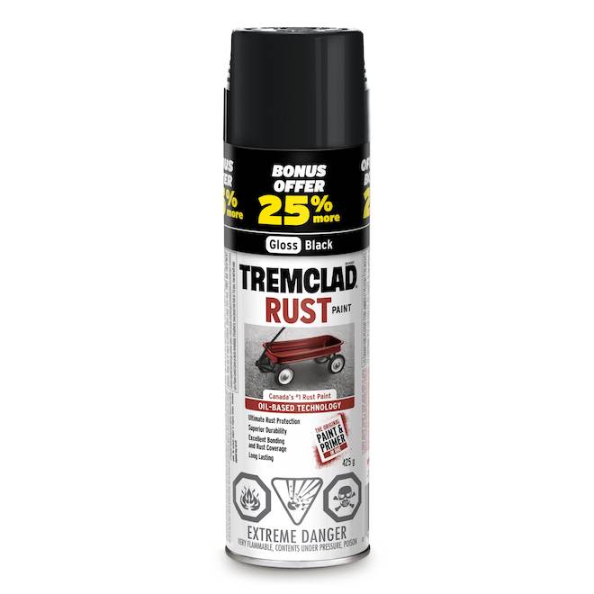 Anti-Rust Paint - Glossy Black - 425 g