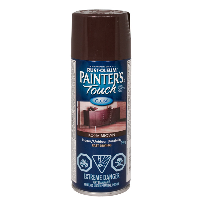 Peinture multi-usage en aérosol