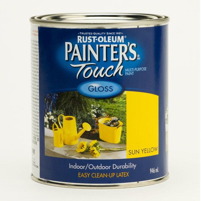 Multi-purpose paint