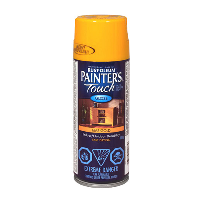 Paint - All-Purpose Paint