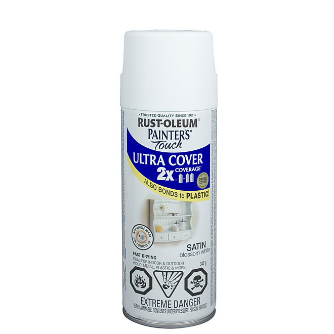 Ultra Cover 2X Spray Paint