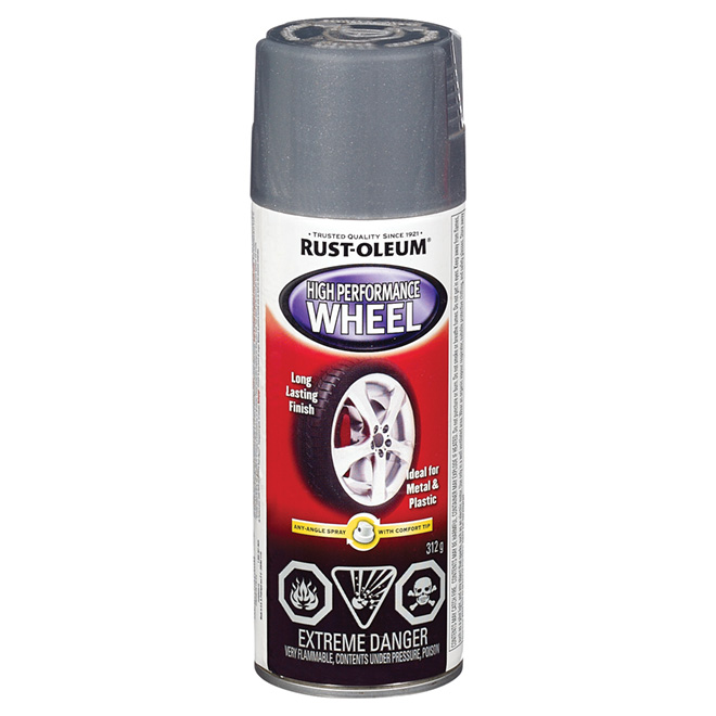 Steel Color Wheel Paint - 340 g