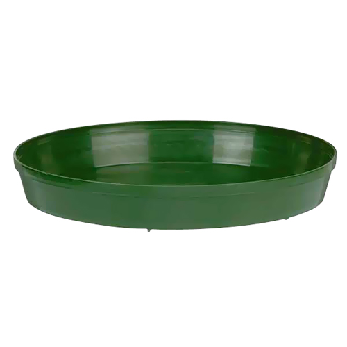 8-in Saucer