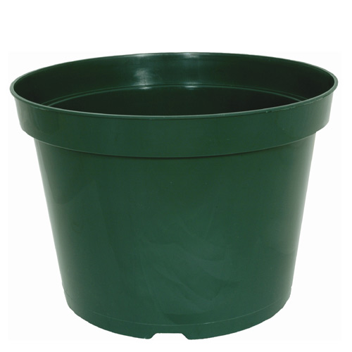 6-in Flower pot