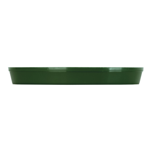 Soucoupe 6 po