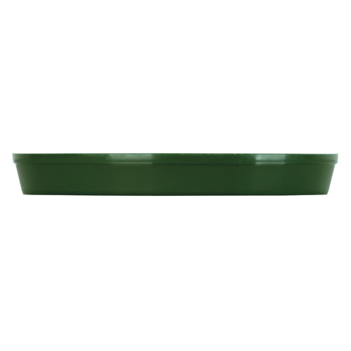 Soucoupe 10 po