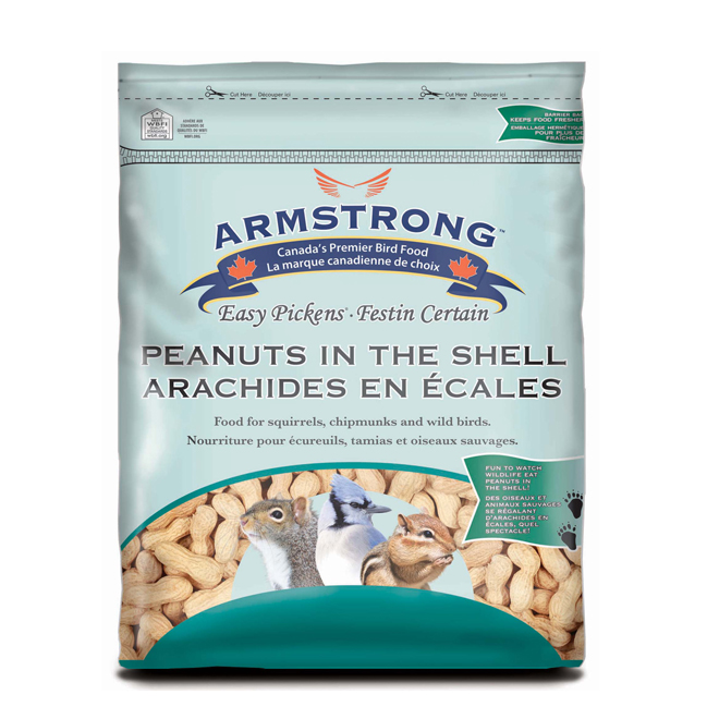 PEANUTS IN SHELL