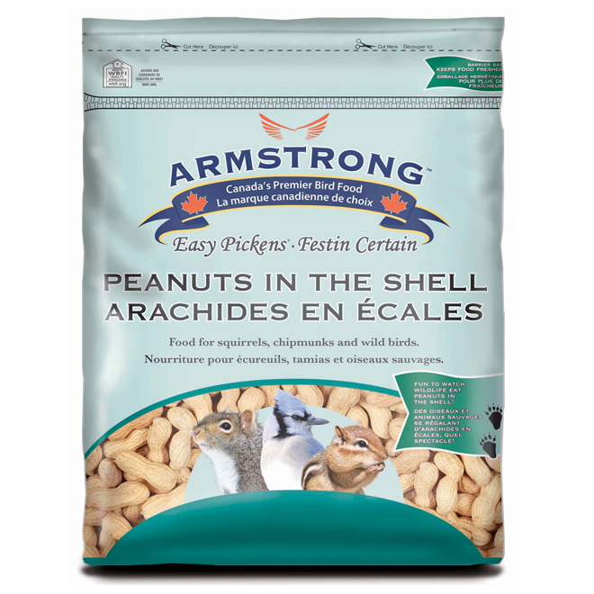 PEANUTS IN SHELL