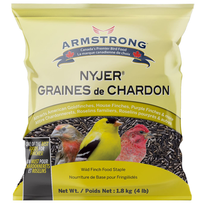 Graines de Nyjer