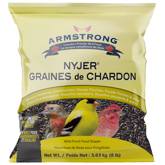 Graines de Nyjer