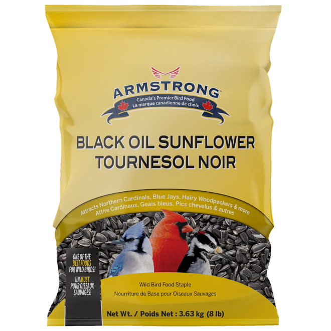 Graines de tournesol noires