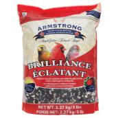 Graines pour oiseaux sauvages « Éclatant », 2,27 kg