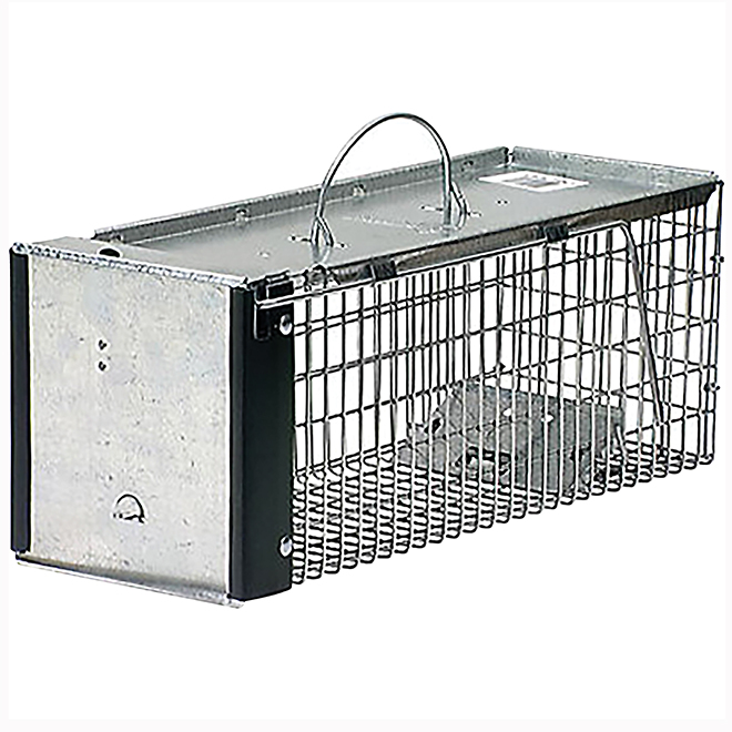 Trap - Chipmunk Trap