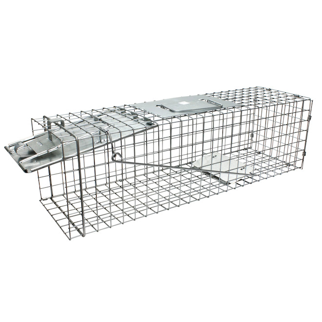 Trap - Squirrel Trap