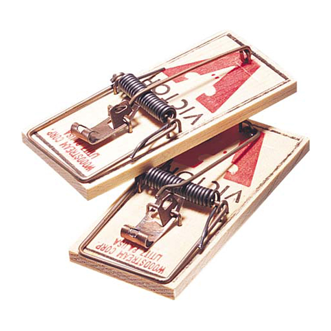 Mouse Traps