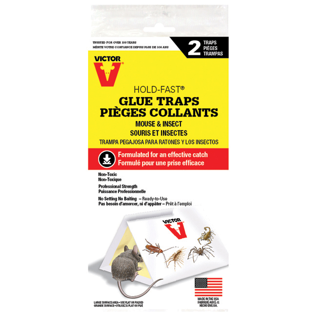 Souricières collantes
