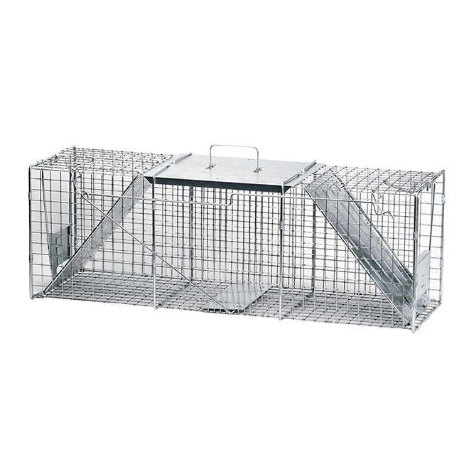 Racoon and woodchuck trap