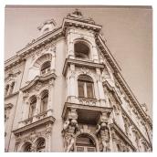 Wood and Cotton Sepia Laminated Canvas - Baroque Building