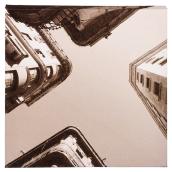 Wood and Cotton Sepia Canvas - Crossroads, Low Angle
