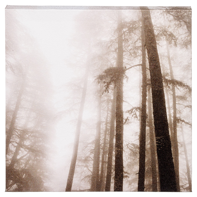 Canevas de coton laminé, noir et blanc, soleil en forêt