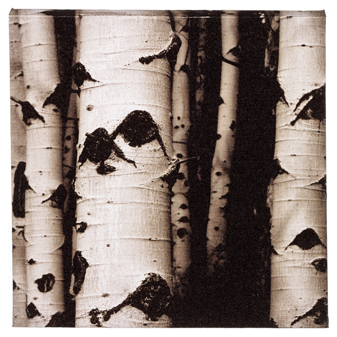 Canevas de coton laminé, noir et blanc, écorce de bouleaux