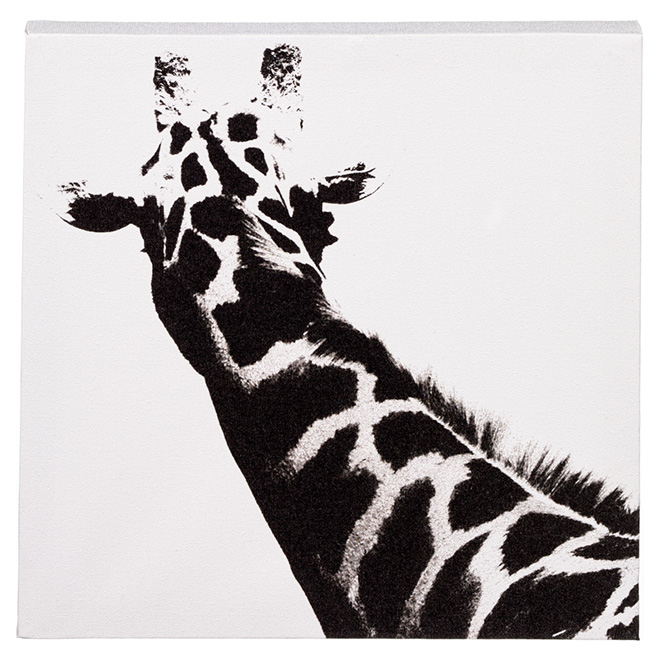Canevas de coton laminé, noir et blanc, girafe