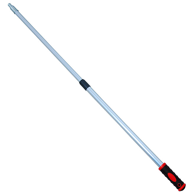 Extendable pole