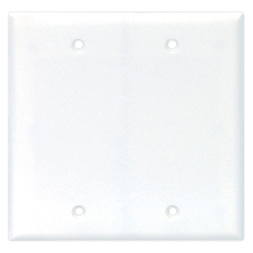 GANG WALLPLATE 2