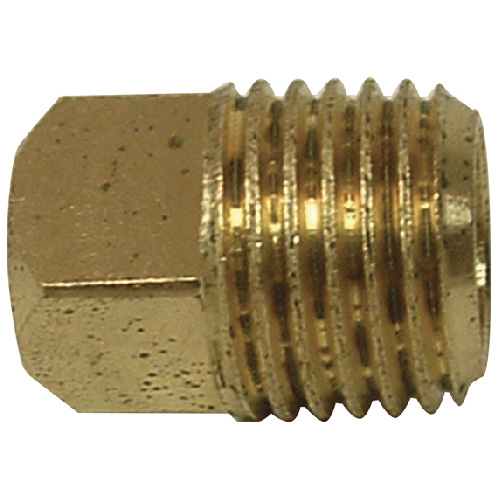 Plug - Brass - Square Head - 1/8" - MIP