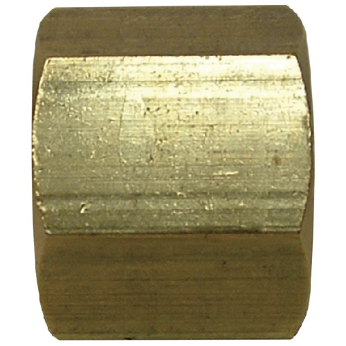 Pipe Cap - Brass - 1/4" - FIP