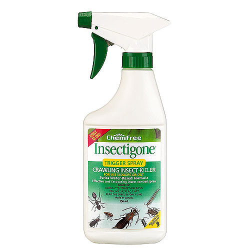 Crawling Insect Insecticide