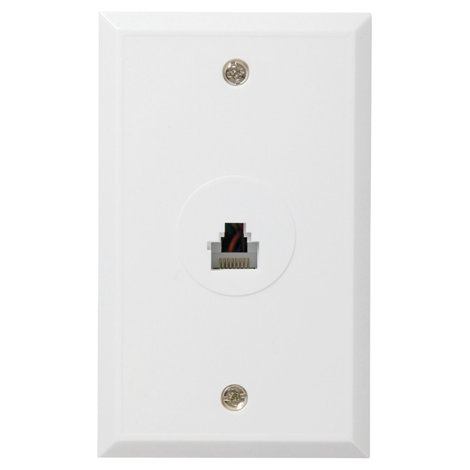 "RJ45/RJ12" Wall Plate