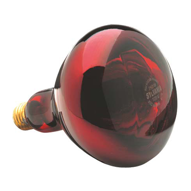 Lampe chauffante