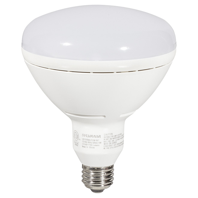 Ampoule DEL 15W