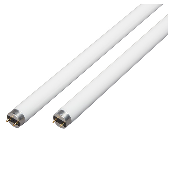 Ampoule fluorescente T8 32 W Opal 48 po, paquet de 2