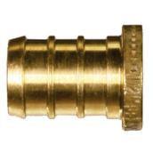 Bouchon PEX 3/4 po