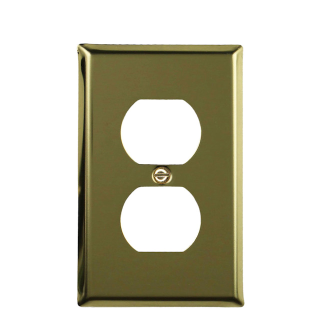 Duplex Wall Plate