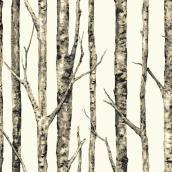 Papier peint, bouleaux, 33', blanc neutre