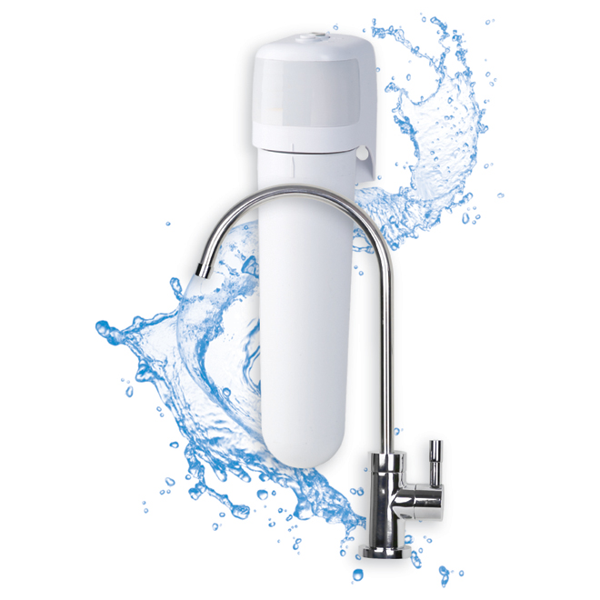Water filtration system