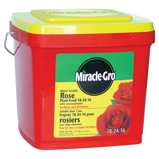 Rose plant food 18-24-16