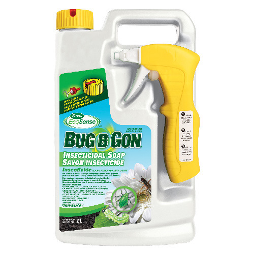 Insecticide liquide « Bug B Gon »