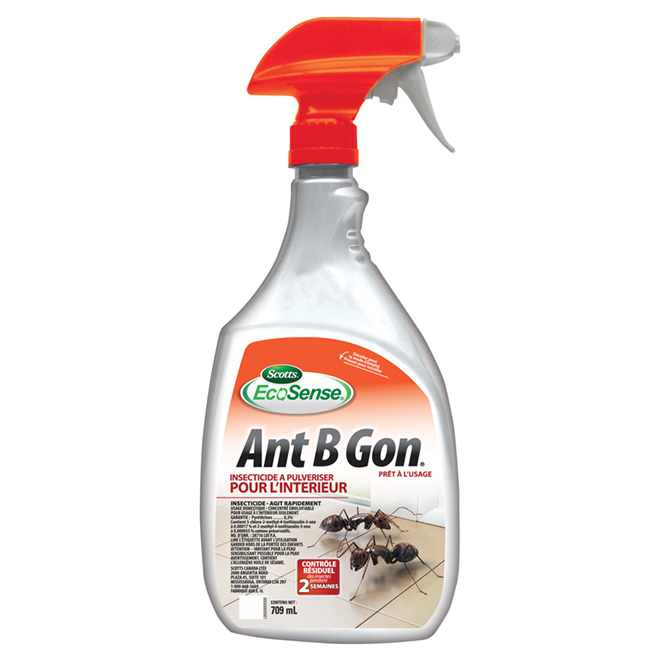 Vaporisateur intérieur pour insectes nuisibles « Ant B Gone »